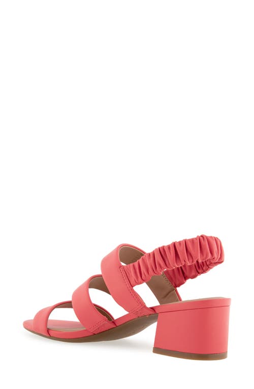 AEROSOLES AEROSOLES CLARISSA SLINGBACK SANDAL