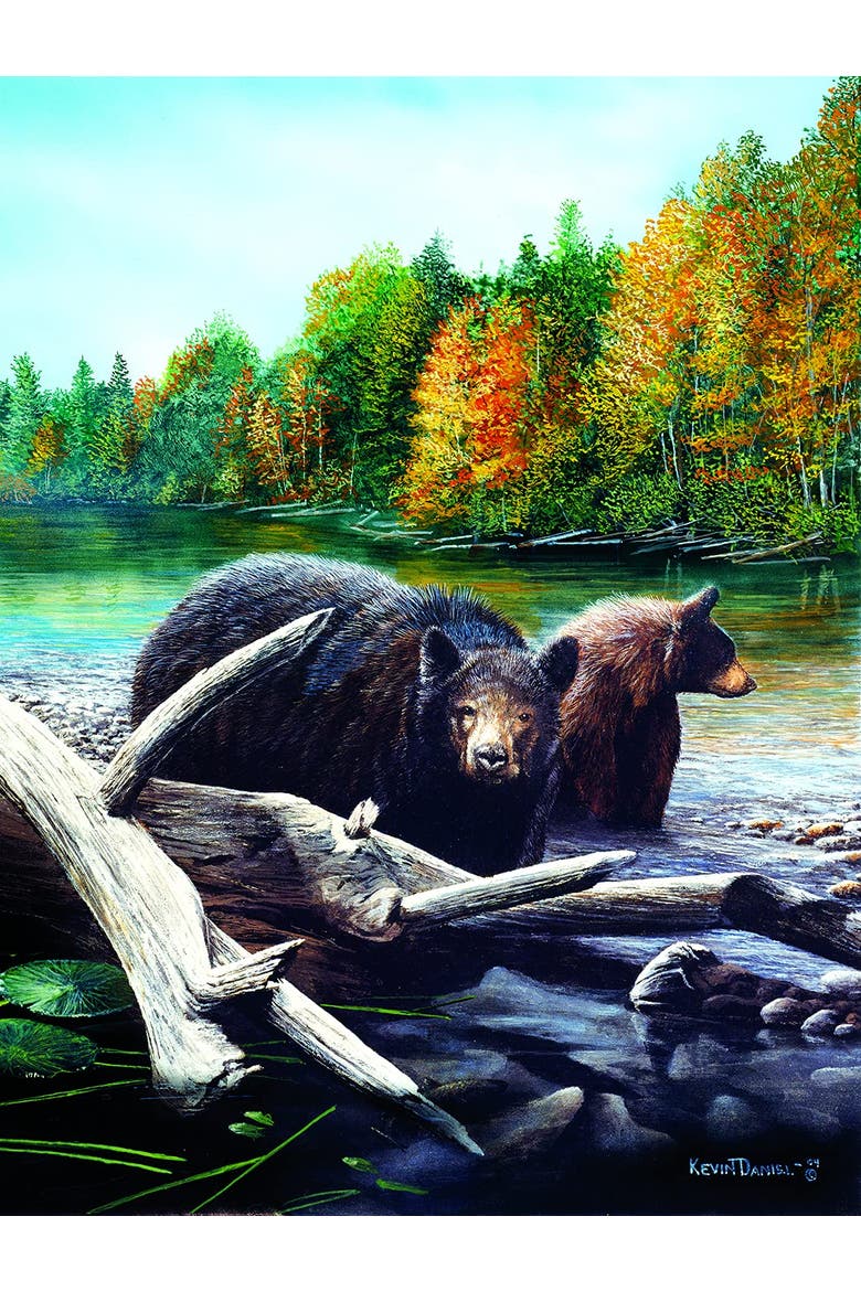 Morning Venture 1000 piece Jigsaw Puzzle for Adults, Alternate, color, Multicolor