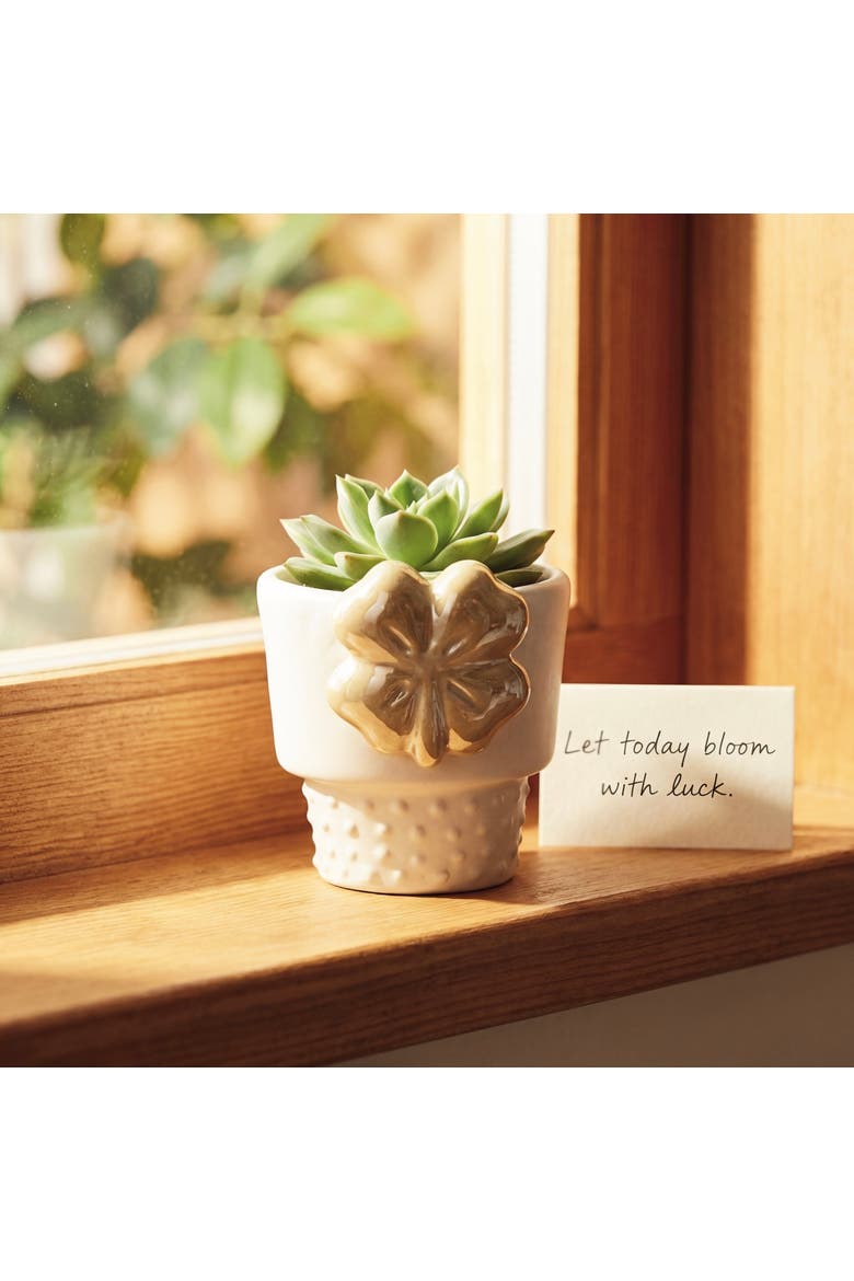 Clover Mini Planter Garden Pot White Multi Earthenware 2.47x2.3x2.98 in, Alternate, color, White