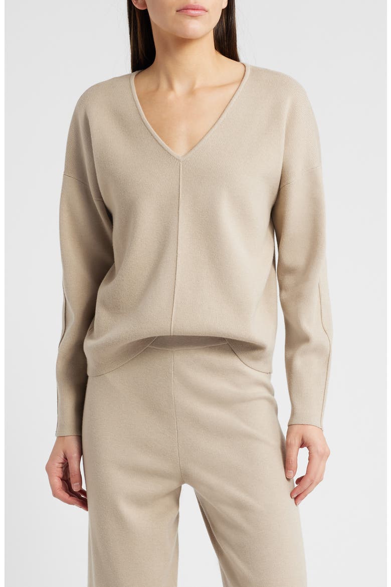 Hollyn V-Neck Sweater, Main, color, HEATHER OATMEAL