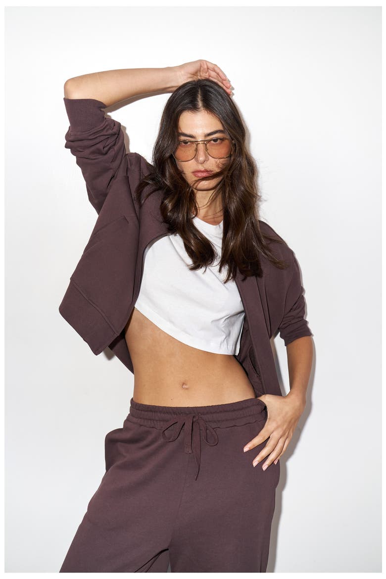 Cozy Coast Airport Bomber Sweatshirt, Alternate, color, Brown