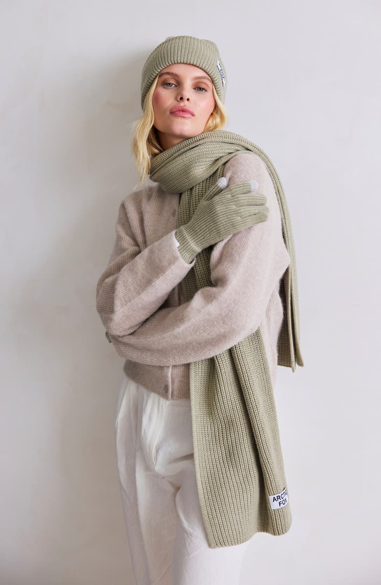 Arctic Fox & Co The Recycled Bottle Gloves, Alternate, color, Arctic Grey