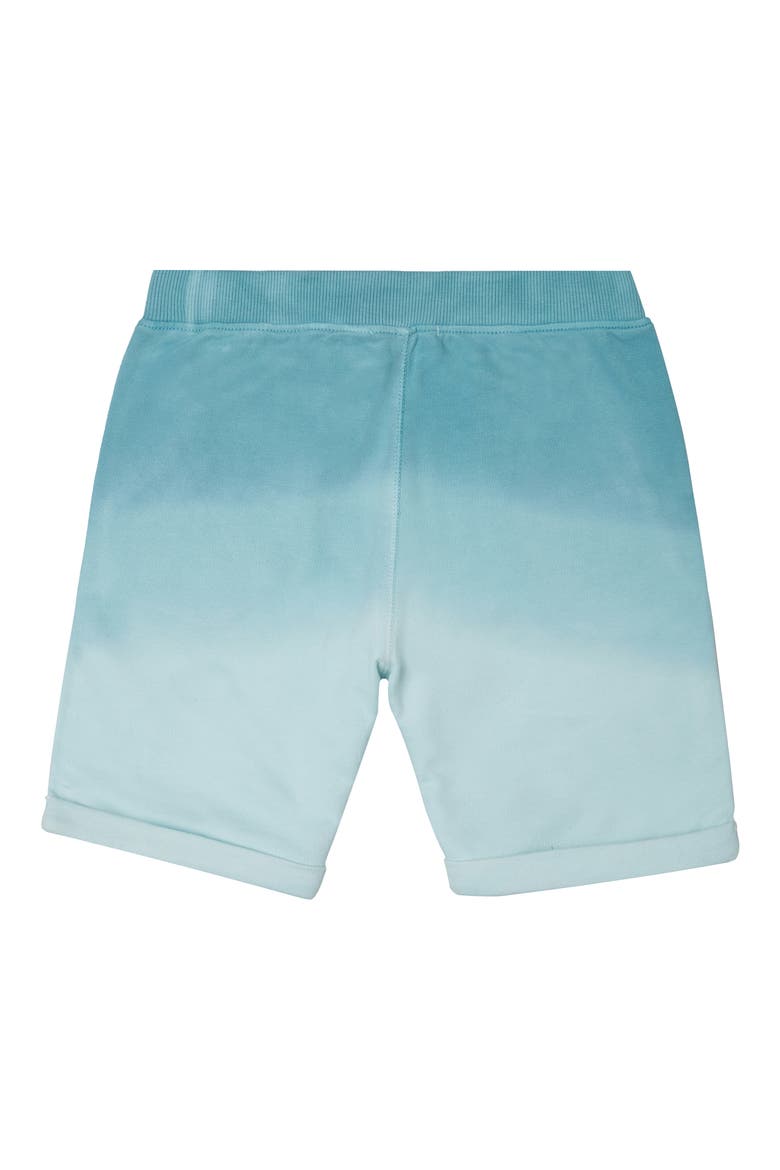 Organic Cotton Shorts, Alternate, color, GREEN