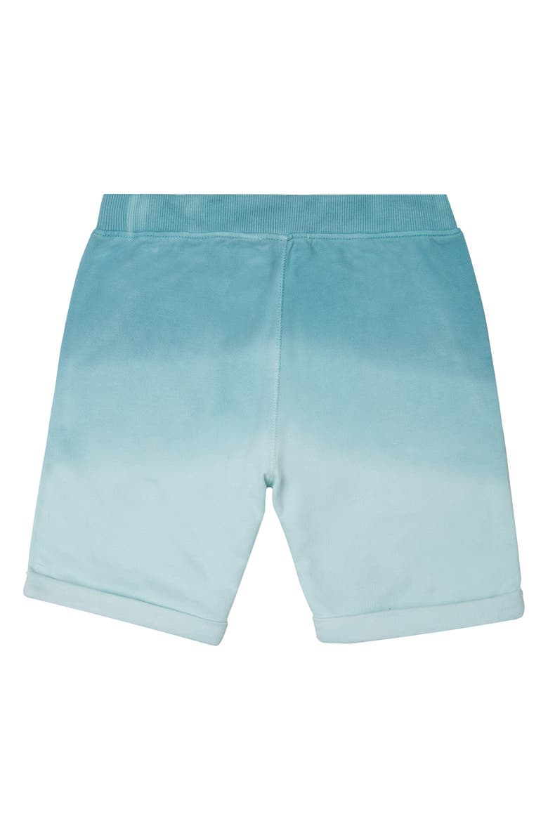 art & eden Organic Cotton Shorts, Alternate, color, 