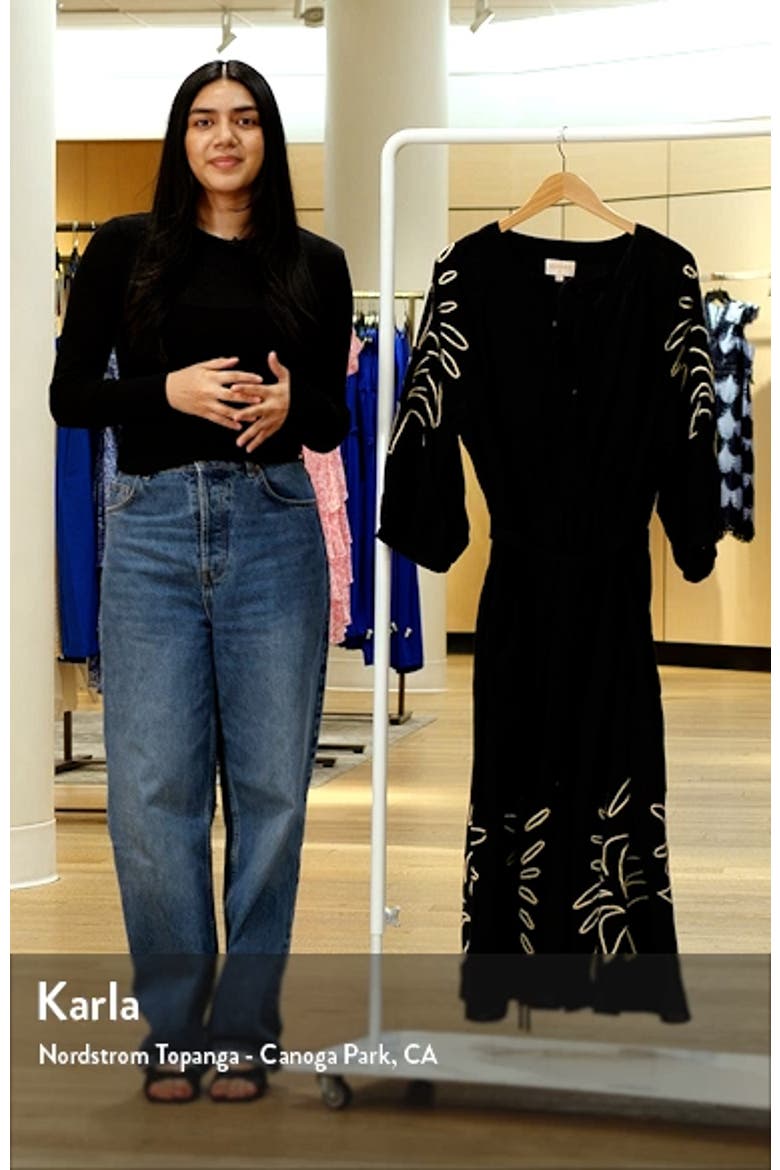 Eliza Embroidered A-Line Dress video