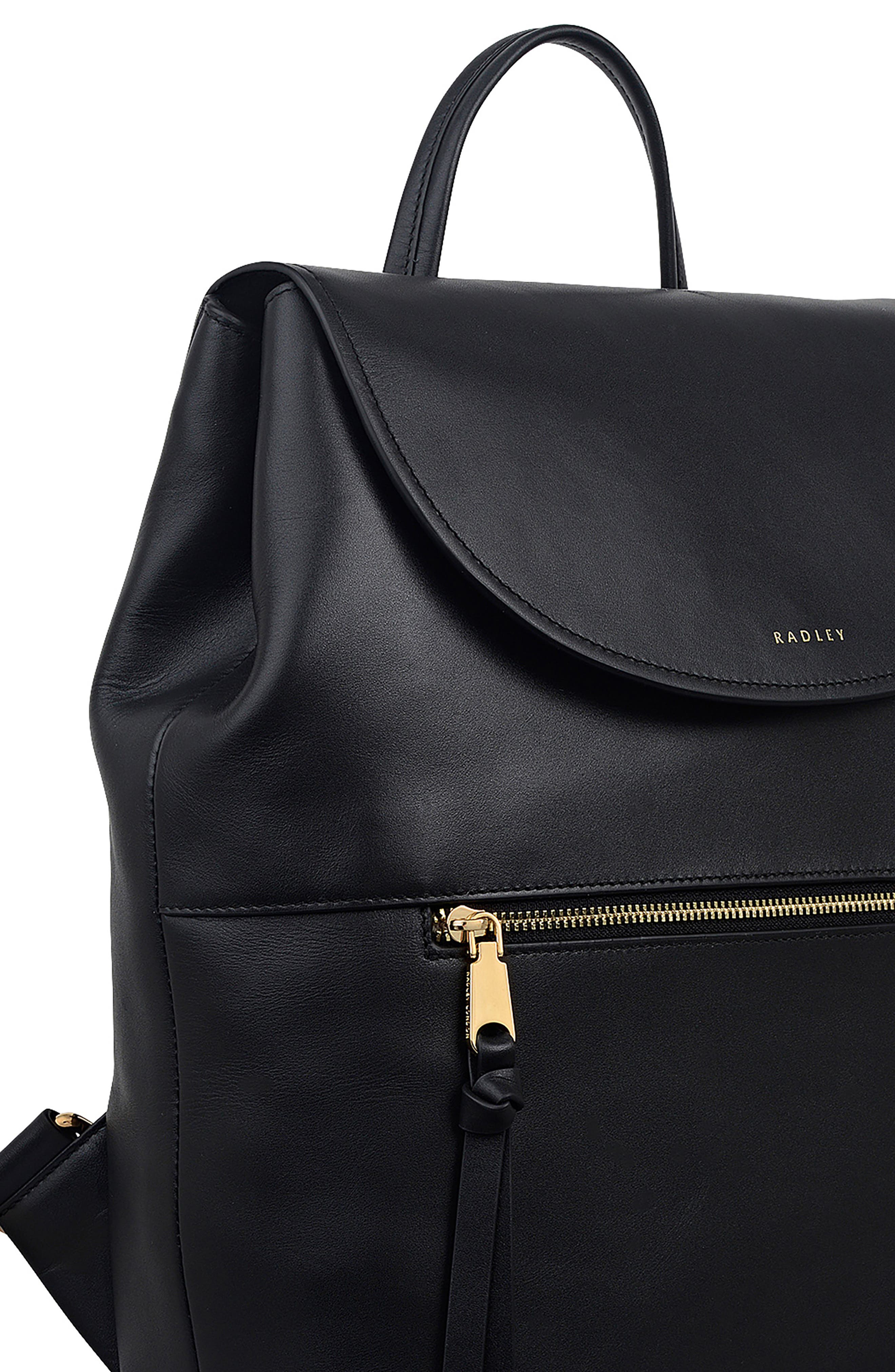 Radley Albion Street Leather Backpack, Alternate, color, Black