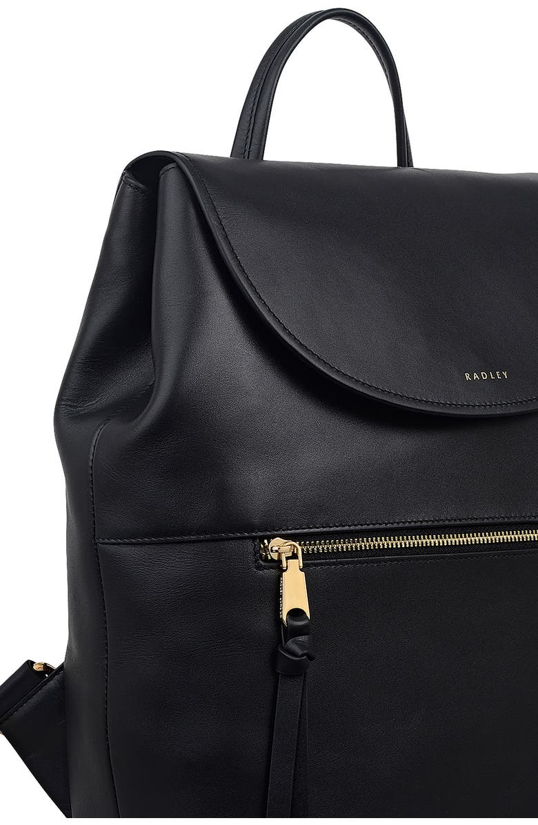 Radley Albion Street Leather Backpack, Alternate, color, Black
