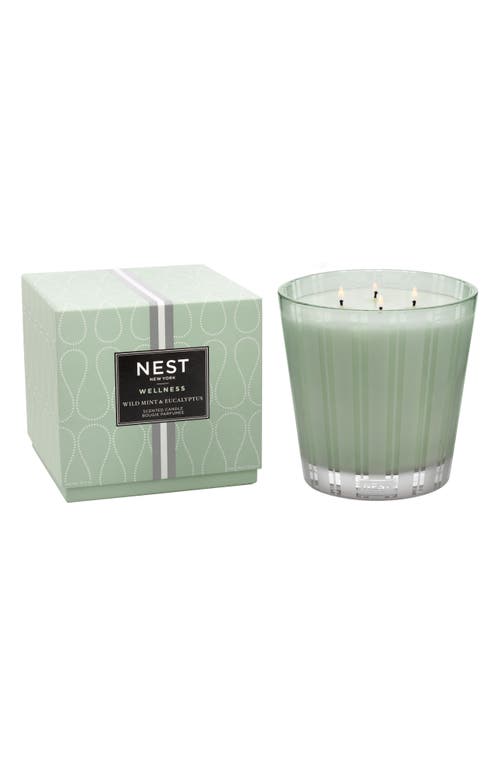 Nest New York Wild Mint & Eucalyptus Scented Classic Candle In No Color