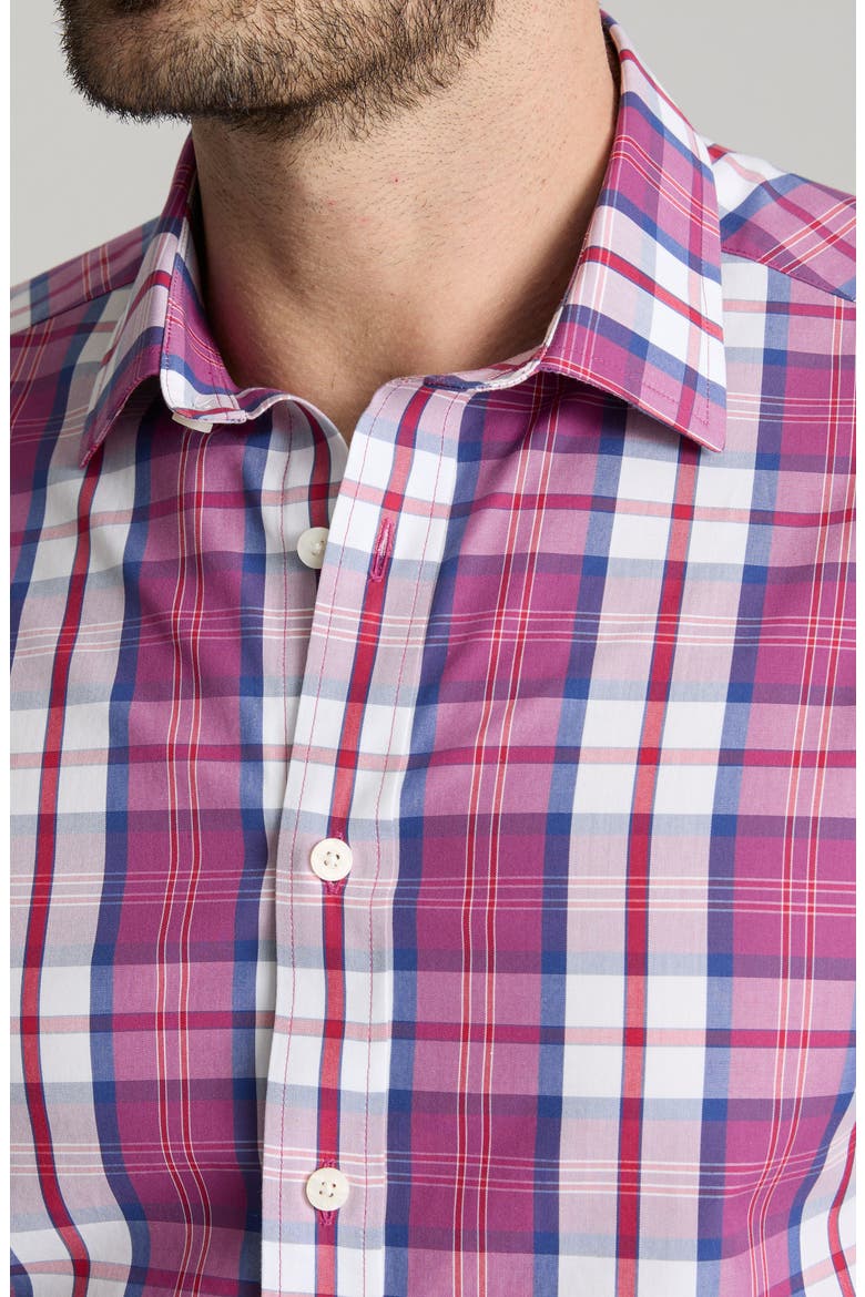Rafferty Wrinkle Free Cotton Button-Up Shirt, Alternate, color, PLUM