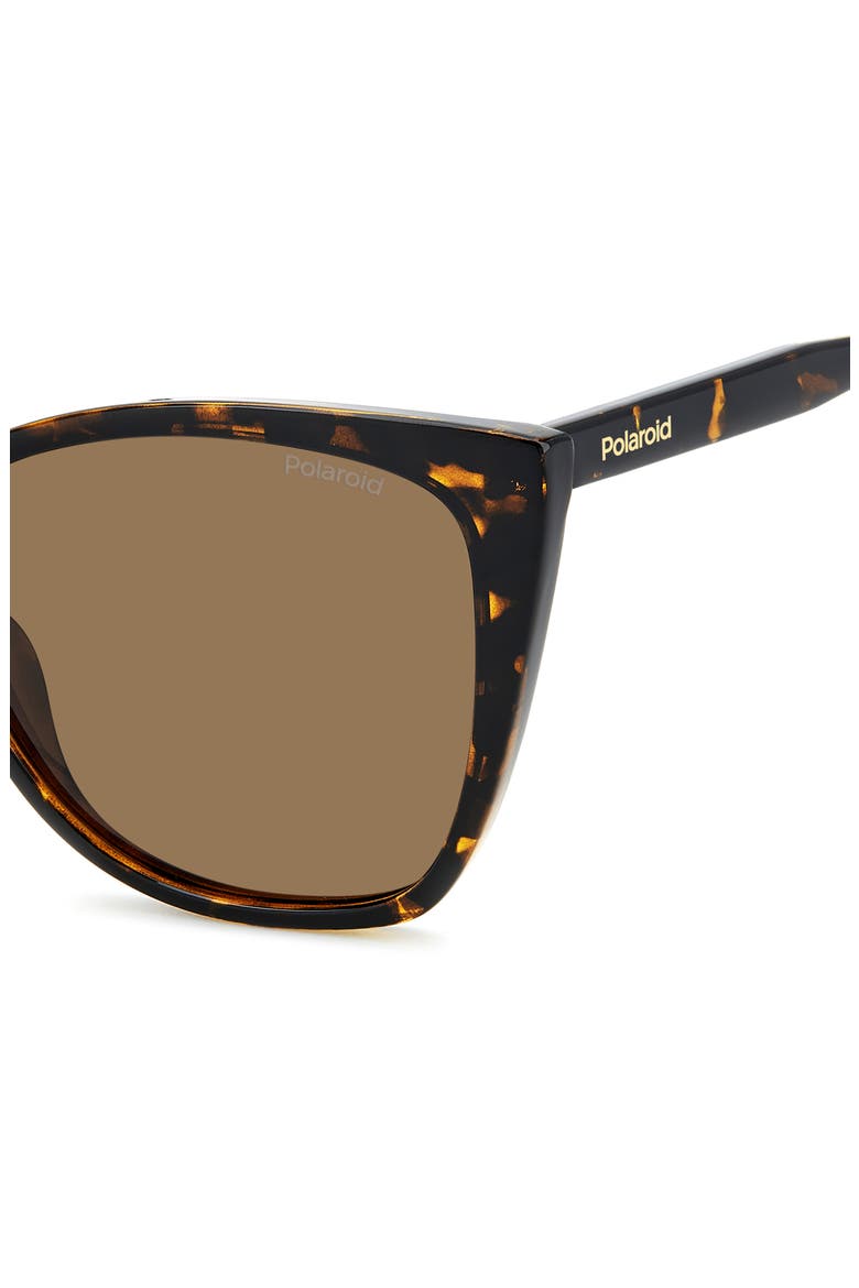 56mm Polarized Cat Eye Sunglasses, Alternate, color, HAVANA/ BRONZE POLAR