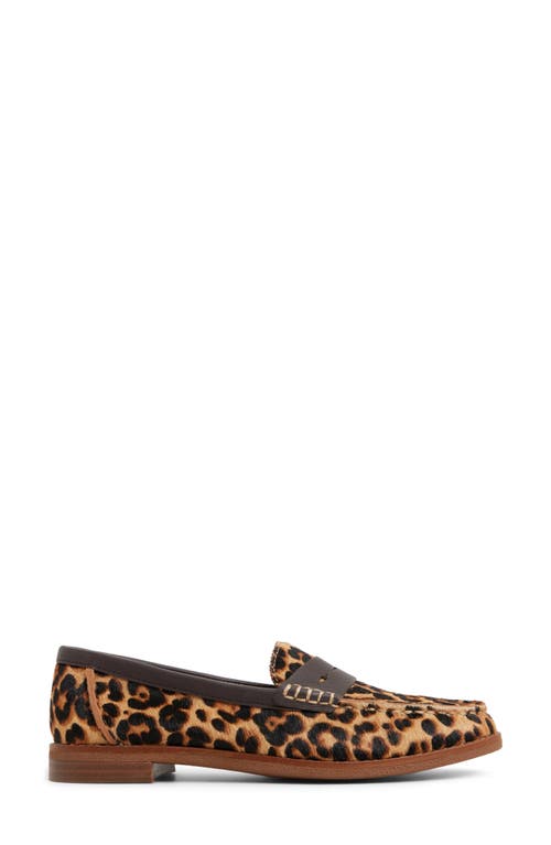 Sperry Seaport Genuine Calf Hair Penny Loafer In Brown