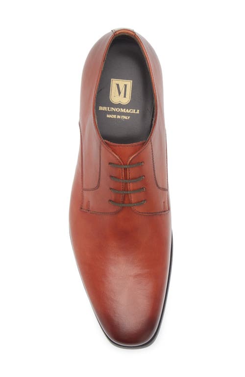 Bruno Magli Pello Derby In Multi