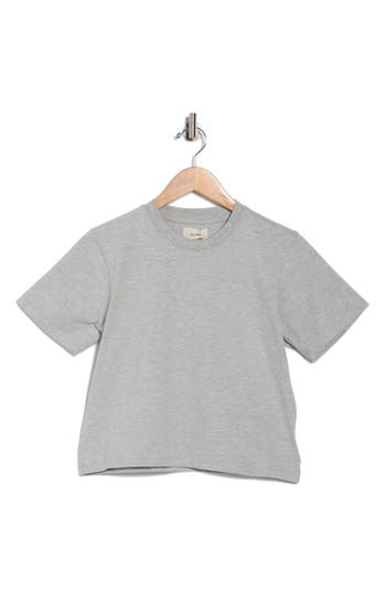 Dl1961 Essential T-shirt In Gray