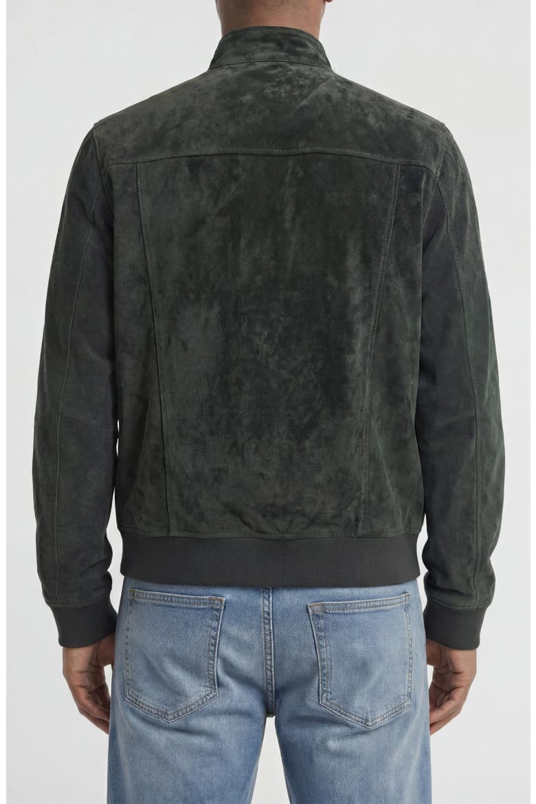 Genuine Suede Harrington Jacket, Alternate, color, BOTTLE GREEN