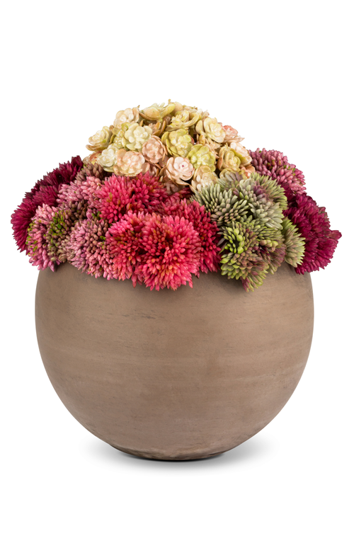 CocoBella Elias Sedum Arrangement in Fuchsia Mélange 