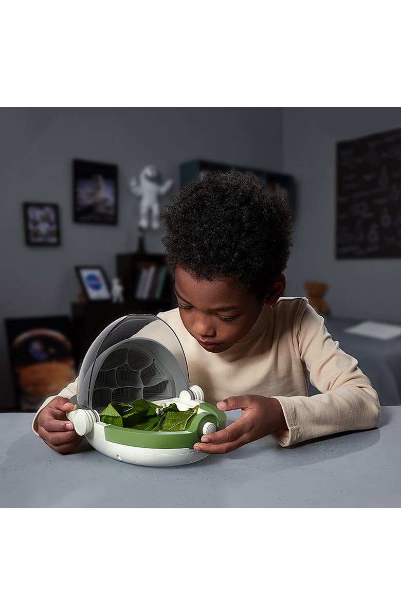 Science Can Insects Growth Station Grow & Observe, 6+, Alternate, color, Multicolored