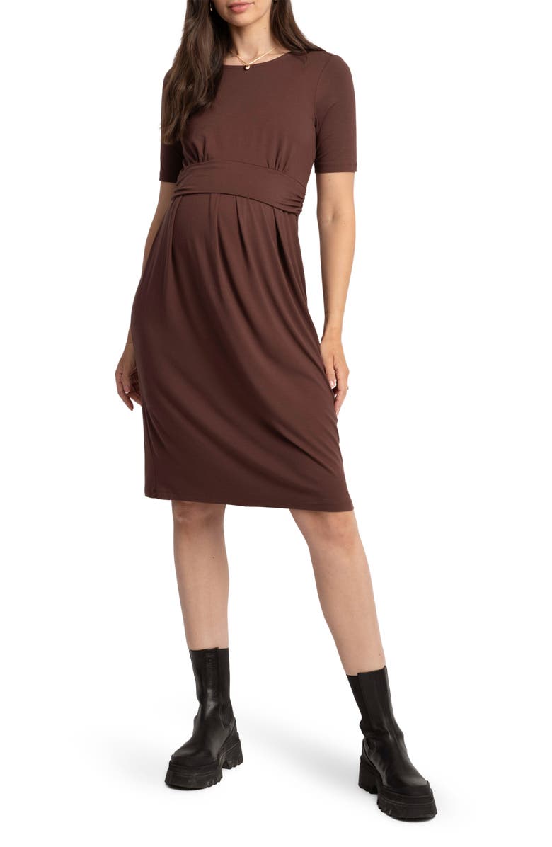 Seraphine Pleat Detail Maternity/Nursing Dress, Main, color, 