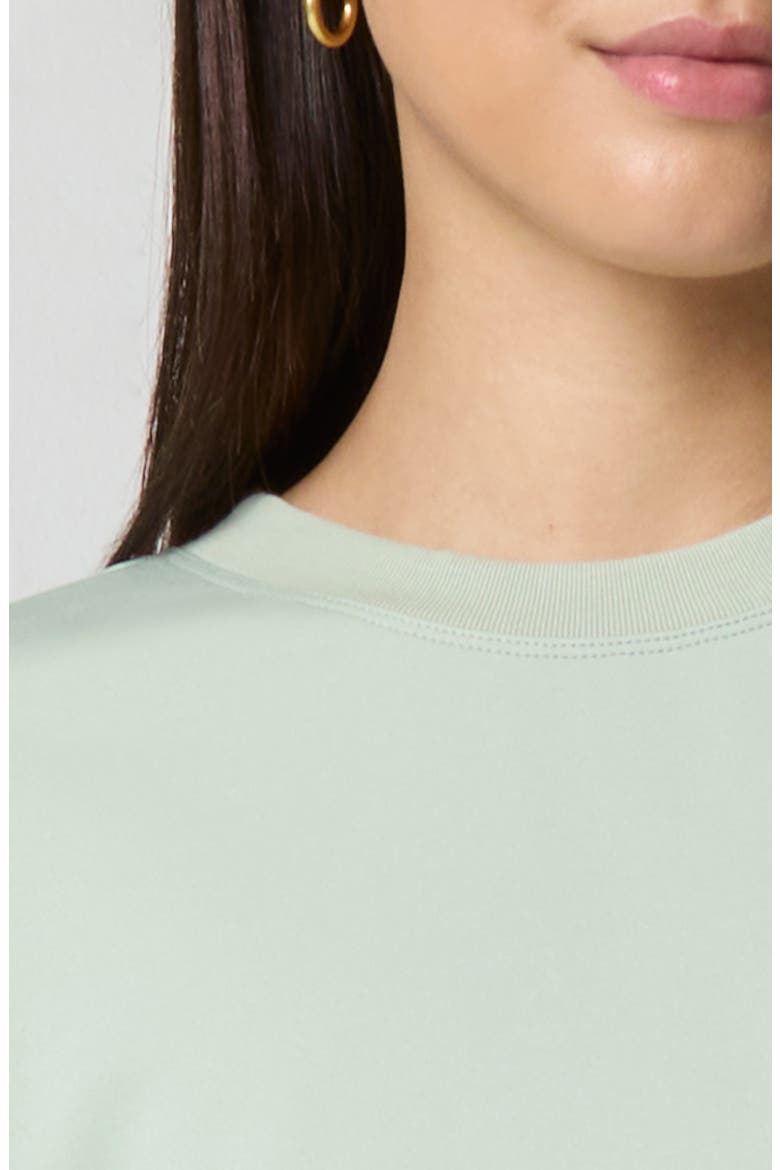 Oversize Sport Sheen Crewneck Sweatshirt, Alternate, color, DESERT SAGE