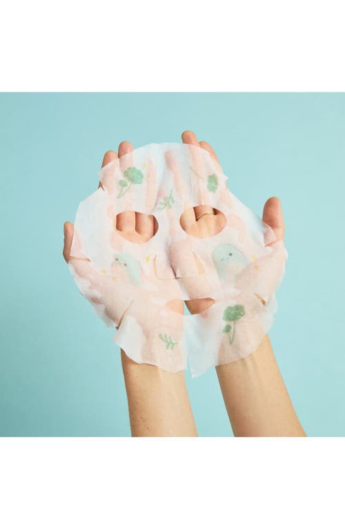 Tonymoly X Squishmallow Head To Toe Superstars Set In Transparent