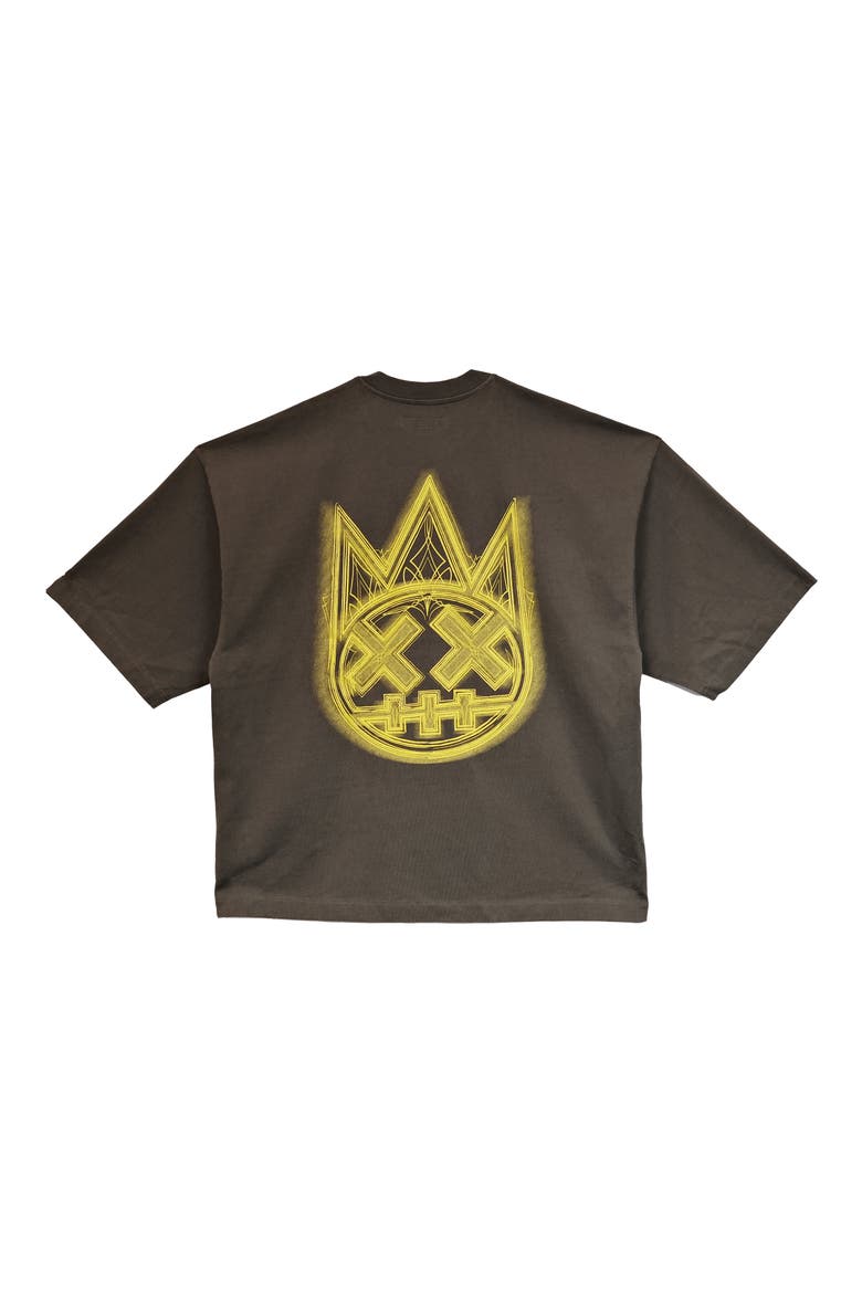Boxy Fit Logo Graphic T-Shirt, Alternate, color, SAGE