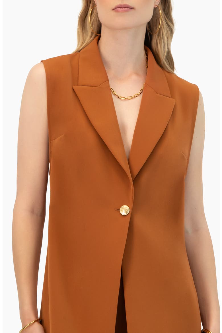 Single-button Tailored Vest, Alternate, color, Brown