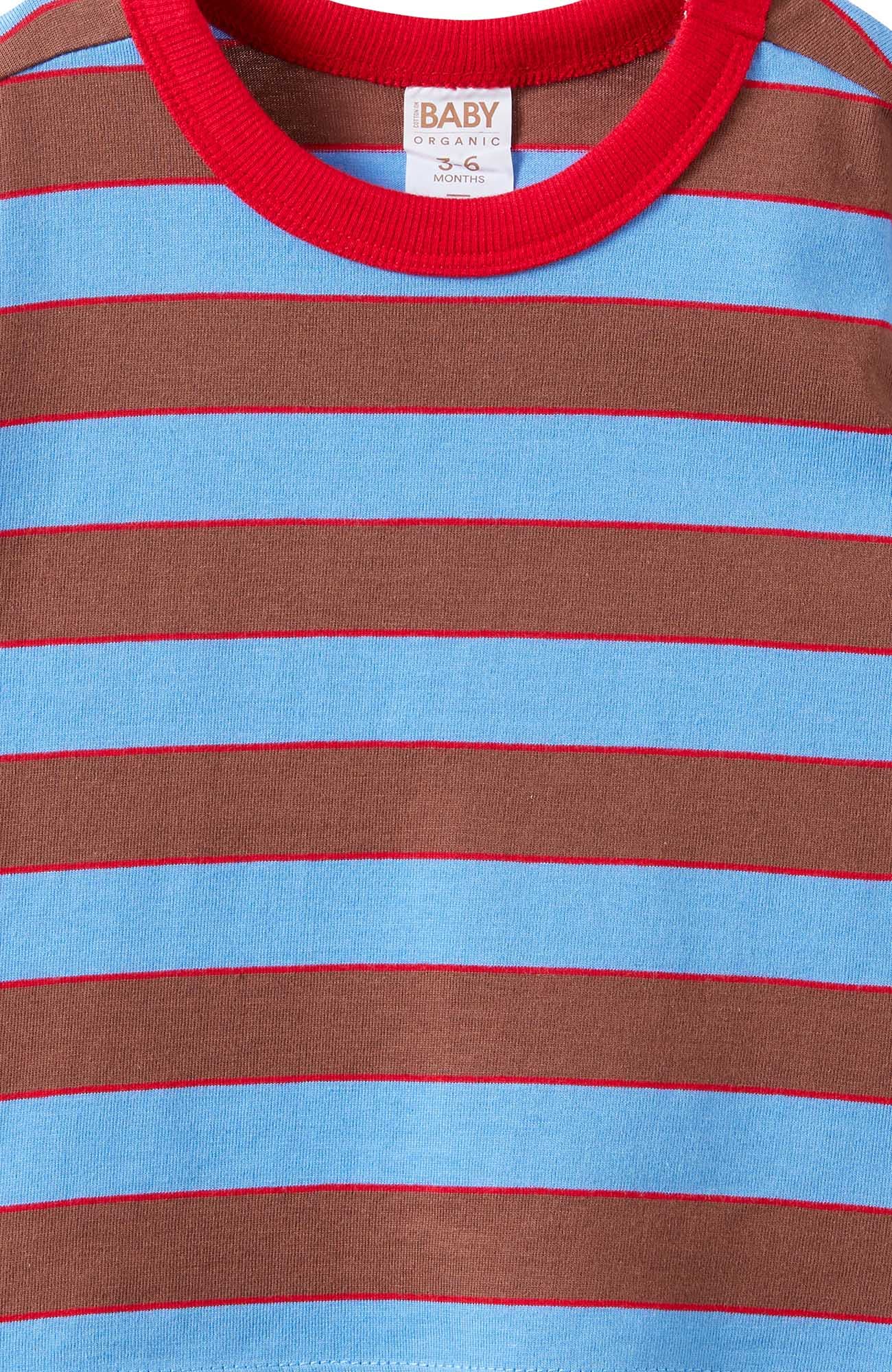 Light Brown Blue Bonnet