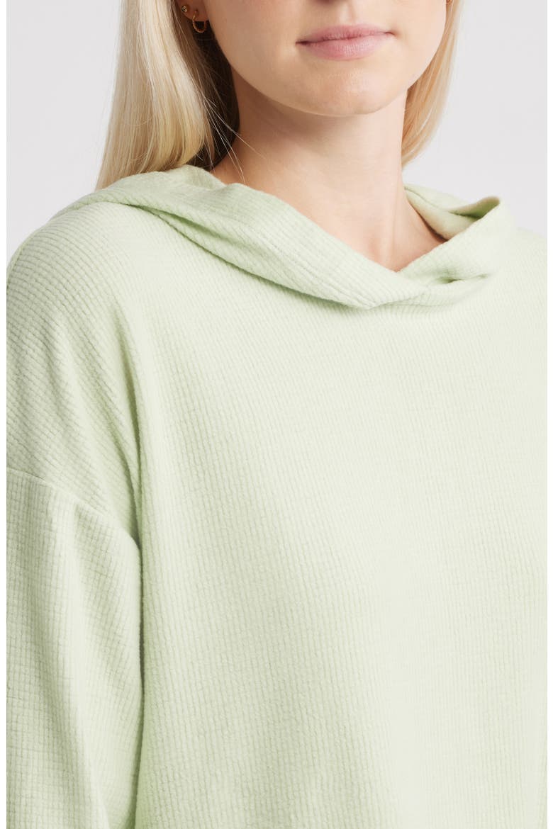 Pistachio Lily Crop Rib Hoodie, Alternate, color, PISTACHIO