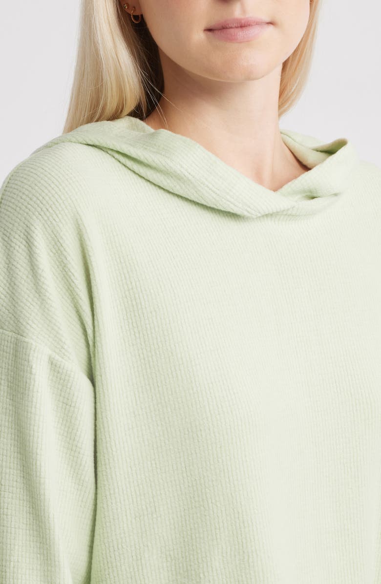 HAPPY CAMP3R Pistachio Lily Crop Rib Hoodie, Alternate, color, Pistachio