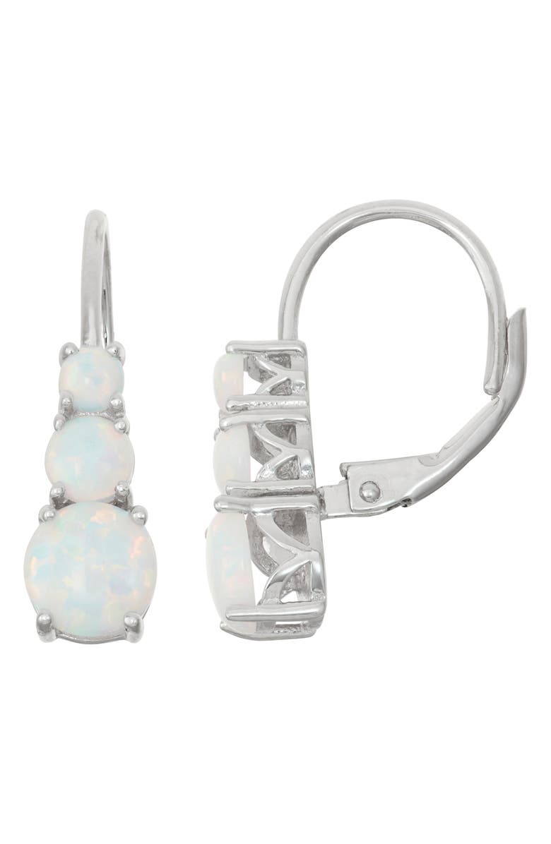 FZN Opal Lever-Back Earrings, Main, color, Silver