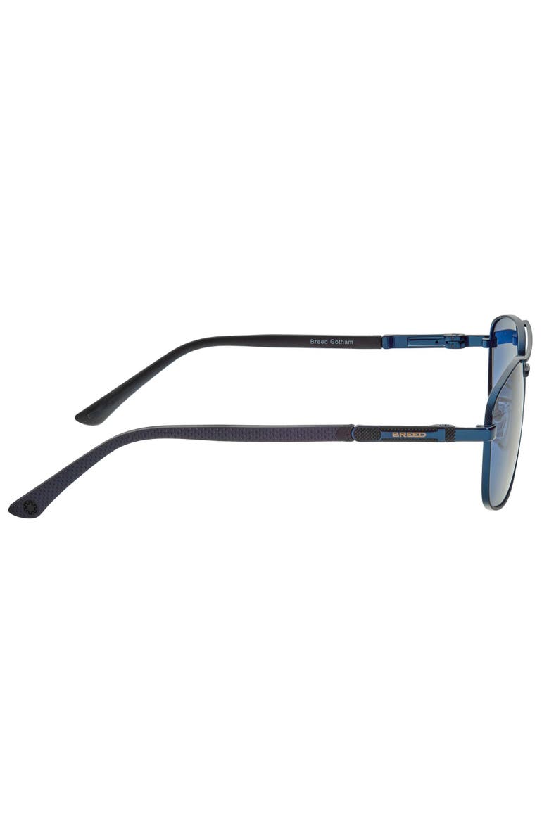 Gotham Polarized Sunglasses, Alternate, color, Navy/Blue