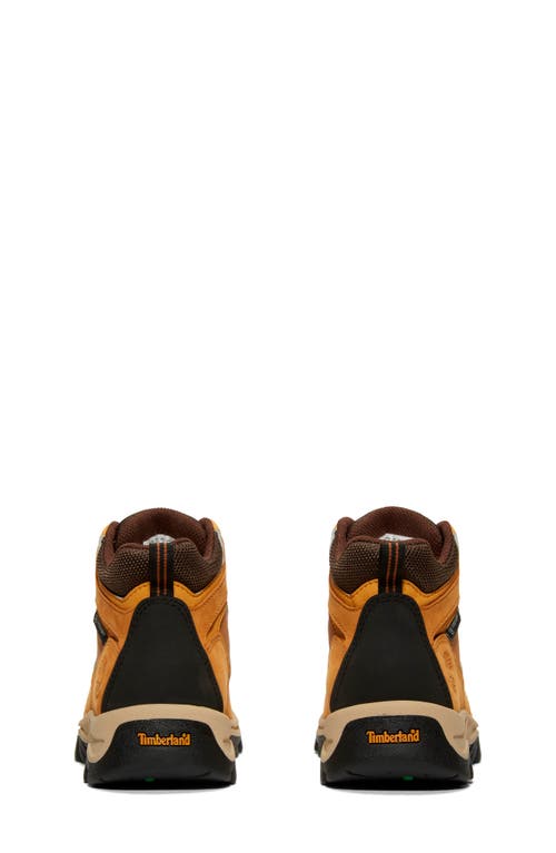 Timberland Boys  Mt. Maddsen Mid In Wheat
