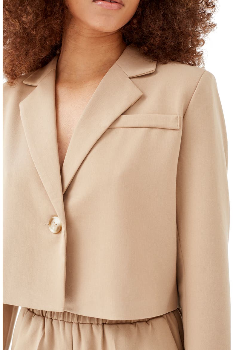 Raine Crop Blazer, Alternate, color, BEIGE