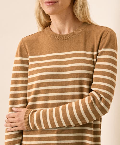 Pact Organic Cotton Classic Fine Knit Crew Sweater In Brown