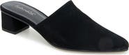 Splendid Laylai Pointed Toe Mule
