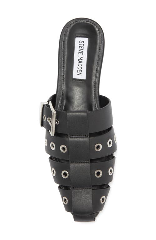 Steve Madden Ladera Mule In Black Leather