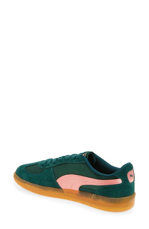 Puma Palermo Sneaker In Dark Myrtle-pink Fruit