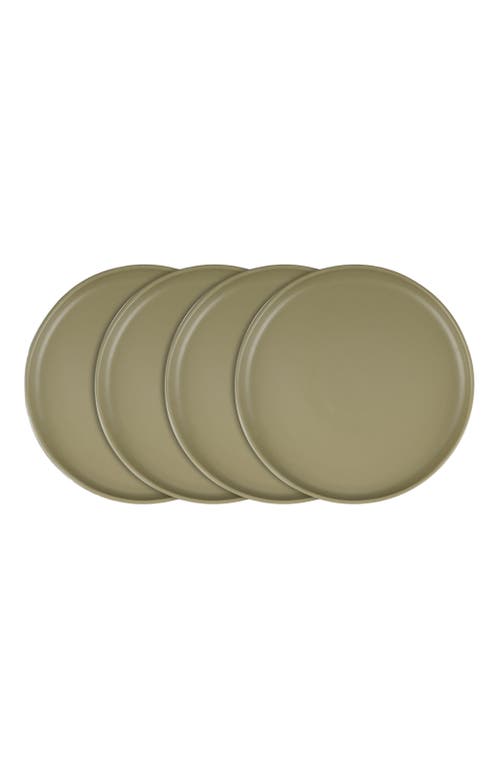 Stone Lain Tom Stoneware 4-piece Dinner Plate Set In Green