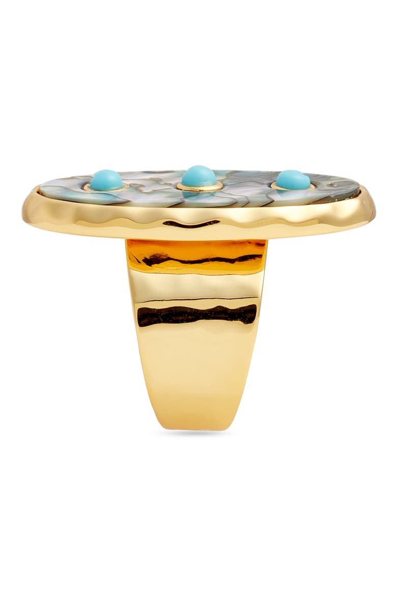Abalone Turquoise Studded Adjustable Ring, Alternate, color, TURQUOISE MULTI