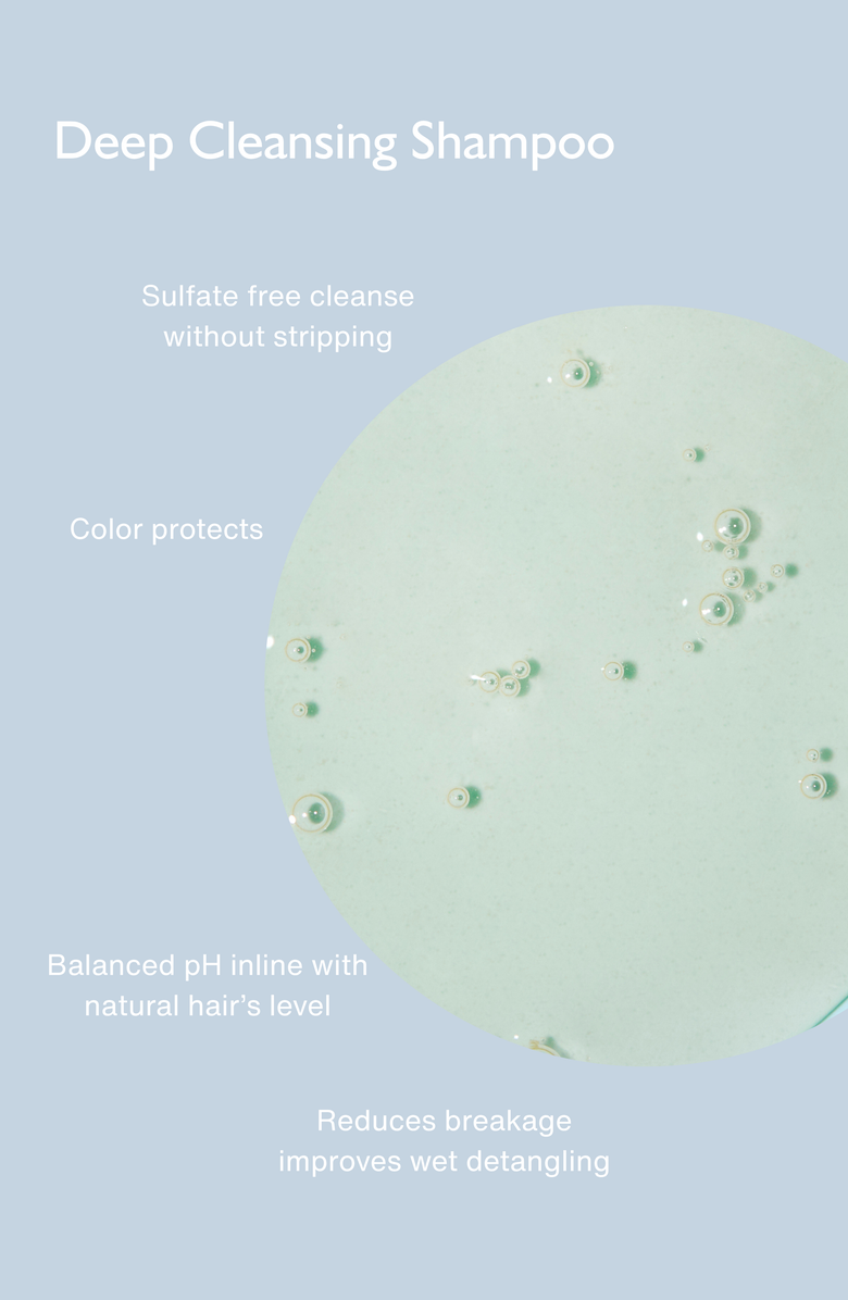 Shedid & Parrish Deep Cleansing Shampoo, Alternate, color, NO COLOR