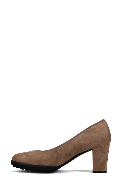 Vaneli Dazzle Pump In Multi