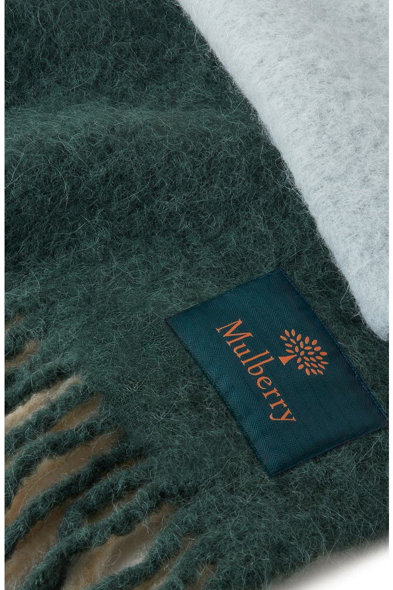 Ombré Alpaca Blend Scarf, Alternate, color, CAMBRIDGE GREEN-EGGSHELL