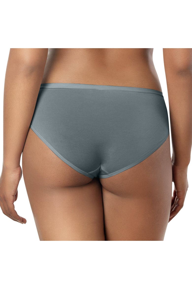 Cozy Hipster Briefs, Alternate, color, Charcoal