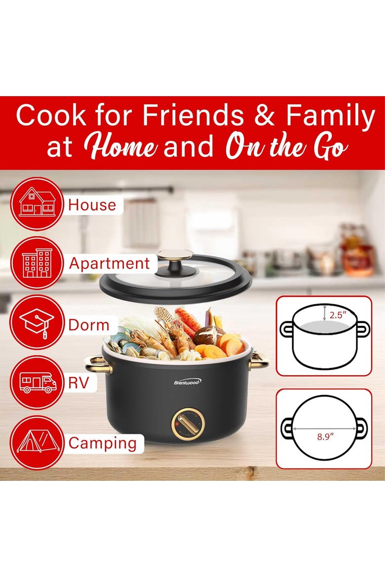 2.5 L Multi-Function Electric Hot Pot Cooker in Black, Alternate, color, Black