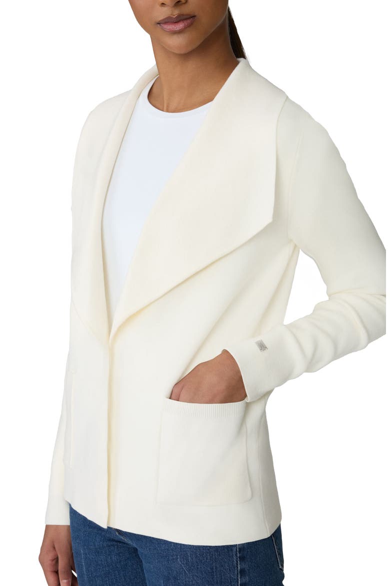 Ioni Shawl Collar Jacket, Alternate, color, POWDER