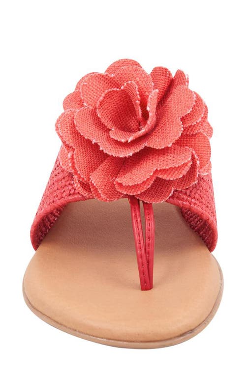 Andre Assous André Assous Nara Sandal In Red Coral