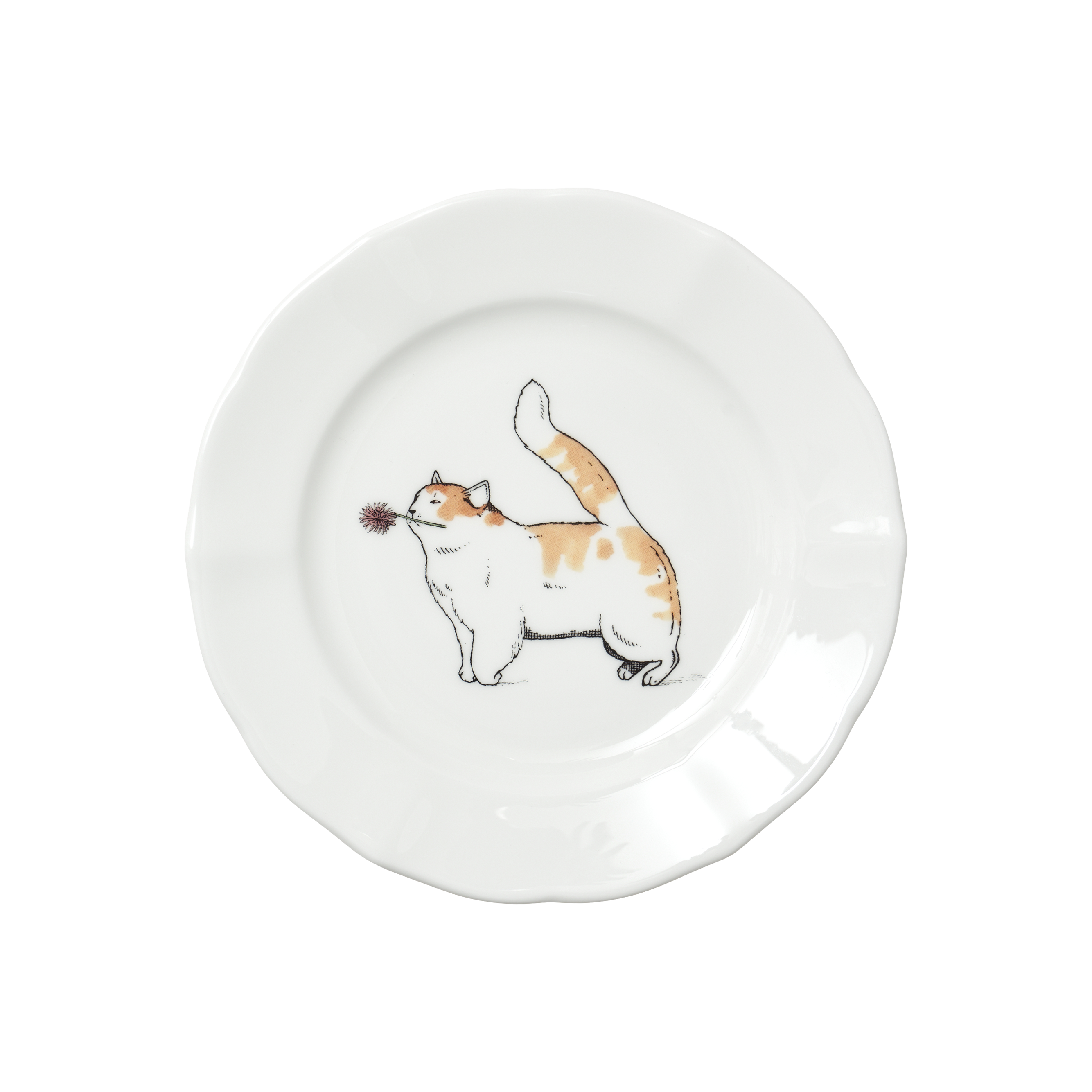 selected Happy Cat
