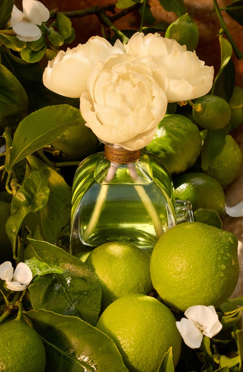 Agraria San Francisco x Monique Lhuillier AirEssence Reed Diffuser, Alternate, color, Citrus Lily