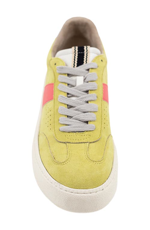 Shushop Stacey Platform Sneaker
