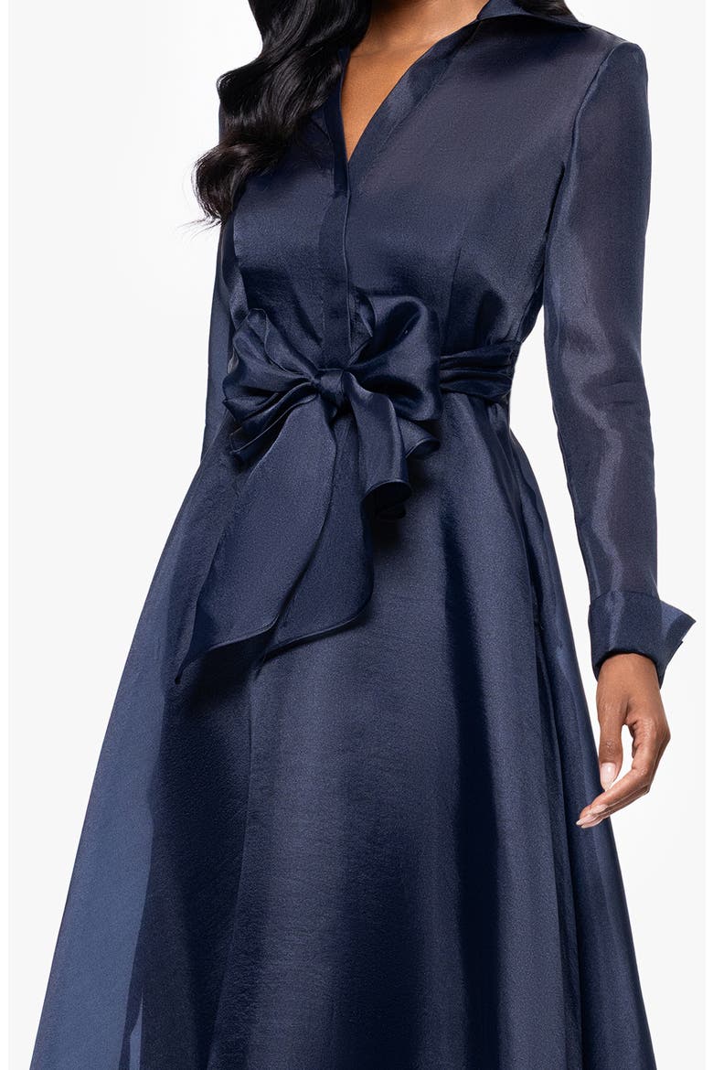 Long Sleeve Organza Dress, Alternate, color, NAVY