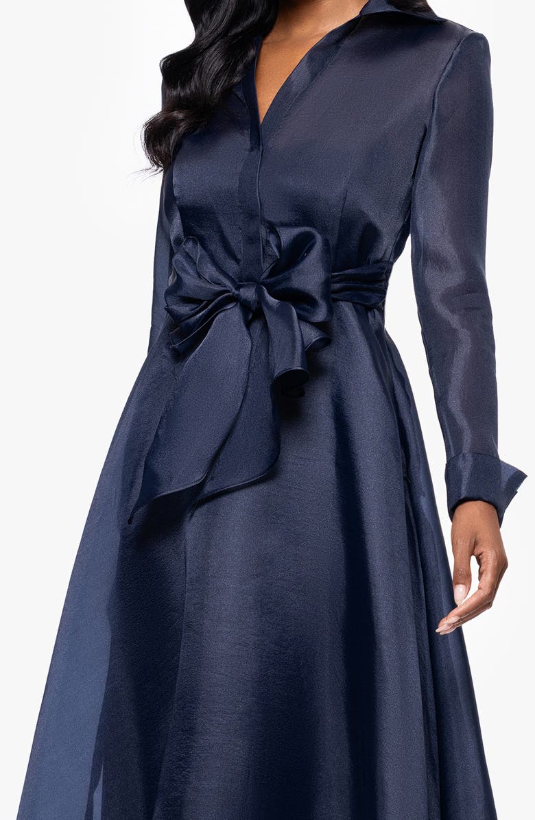 Betsy & Adam Long Sleeve Organza Dress, Alternate, color, 